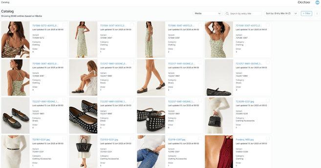 An image from the static